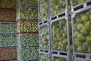 Ontvochtiging Verhuur voor Agrarische Toepassingen - Andrews Sykes België NL