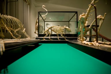 Ontvochtiging voor kunstgalerijen en musea - Andrews Sykes België NL